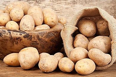 世嘉公布新作《如龙8》将于2024年发售支持中文